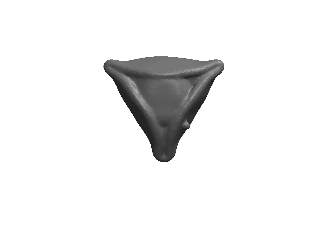 Tricornio 02